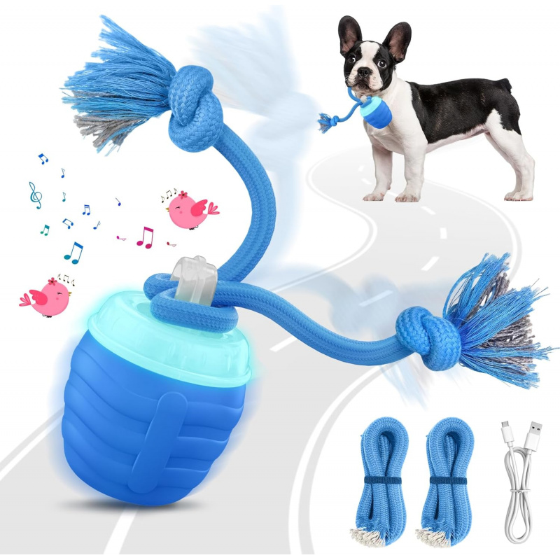 Automatic Moving Dog Ball - 2026 Verbessertes Automatisches Bewegliches Interaktives Hundespielzeug