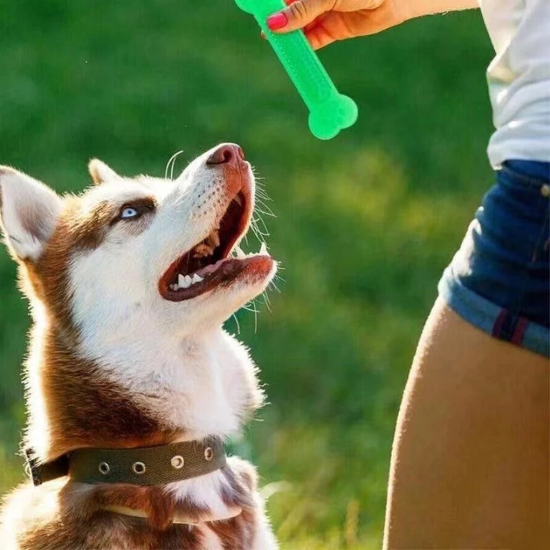 Teeth Cleaning Dog Chew Bone - Super robustes Kauspielzeug für Hunde, Regenbogenfarben,