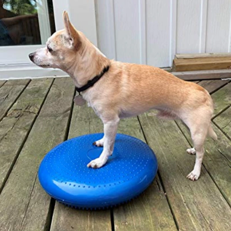 Flying Disc Dog Training Toy - Hunde Trainings hilfen Balance fliegende Untertasse