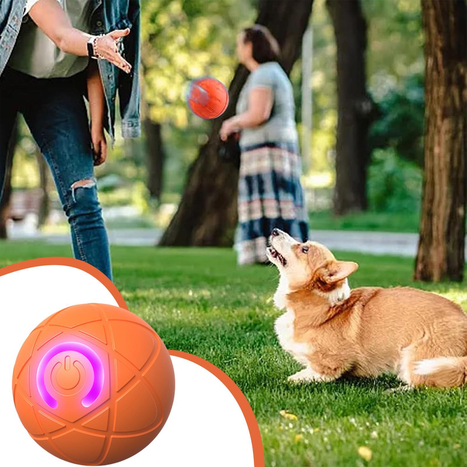 Automatic Moving Dog Ball - Intelligentes interaktives Hundespielzeug für aggressive Kauer.