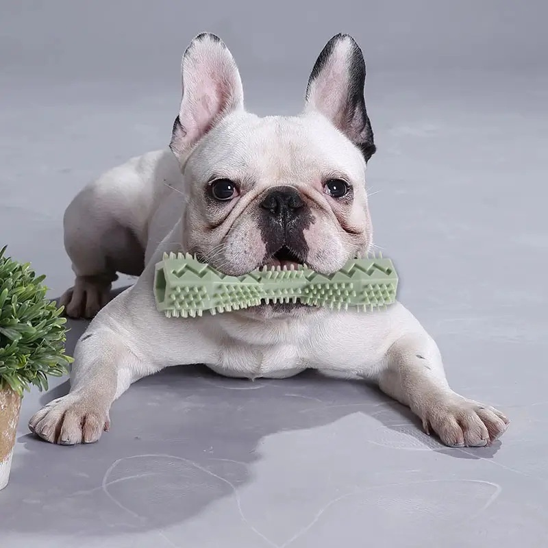 Hundezahnbürste, langlebiger H – Indestructible Dog Chew Toy Bewertung und Preis