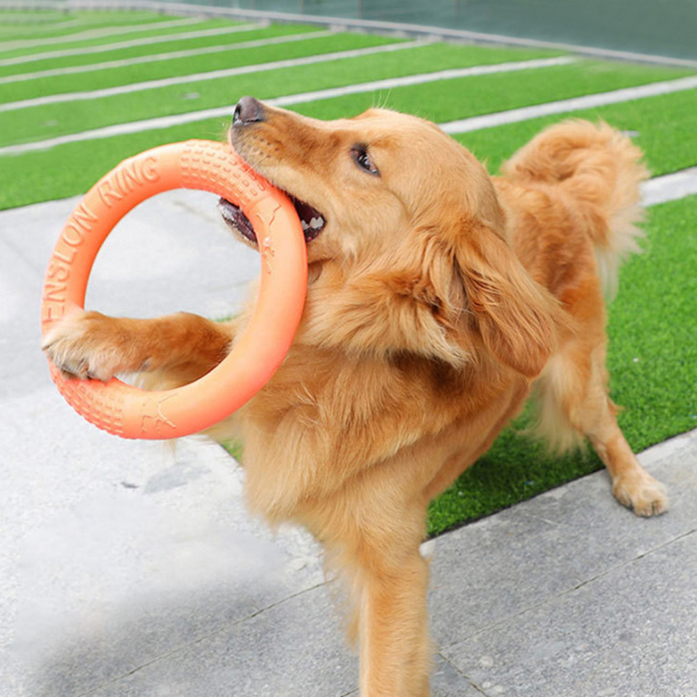 1pc orange Hundes pielzeug Hau – Suction Cup Dog Tug Toy Bewertung und Preis