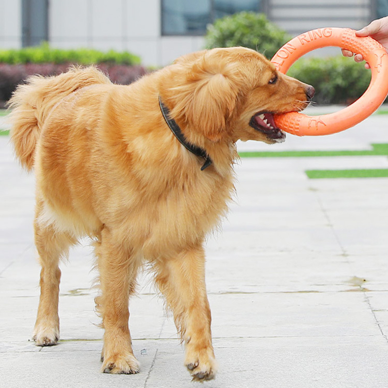 1pc orange Hundes pielzeug Hau – Suction Cup Dog Tug Toy Bewertung und Preis