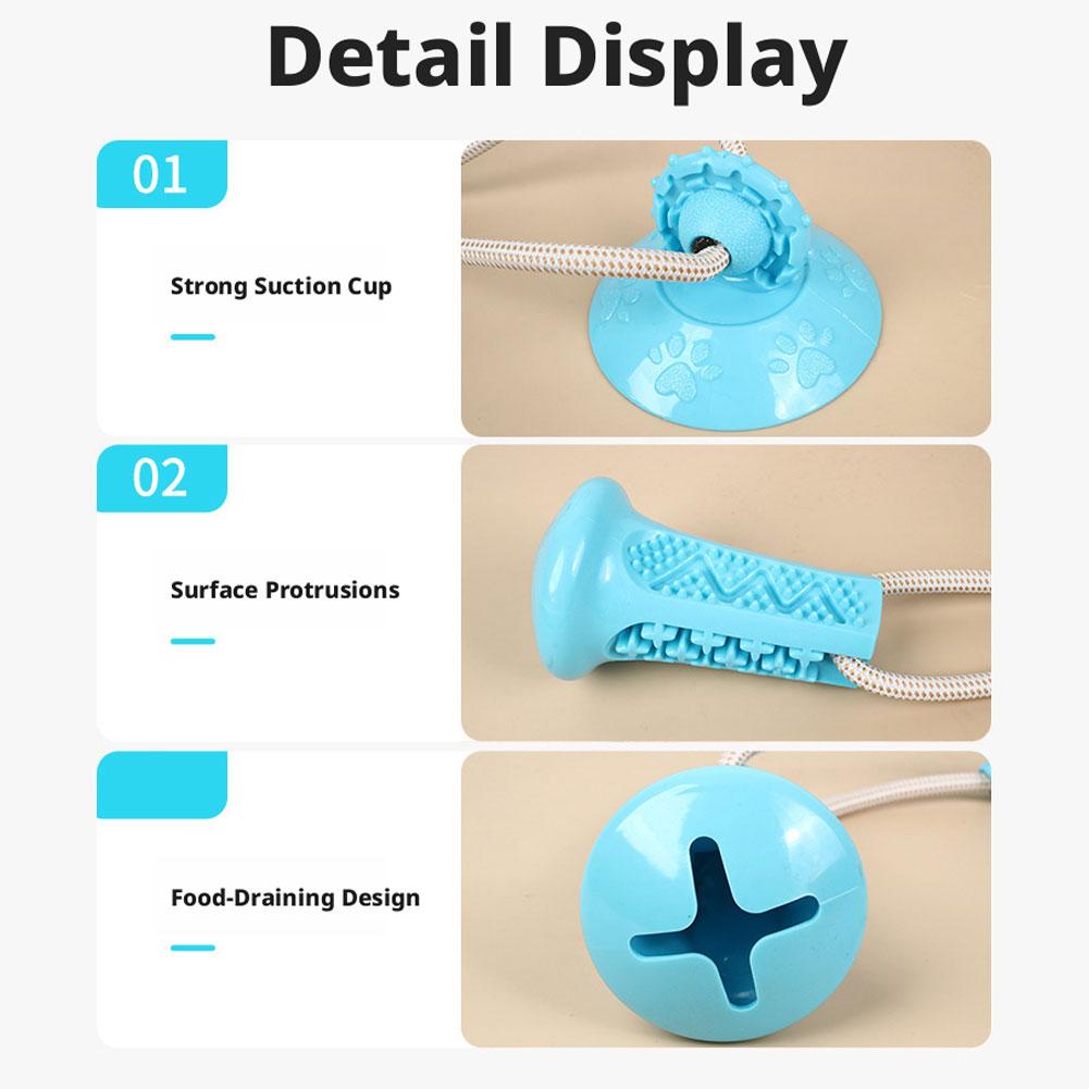 Saugnapf-Hundespielzeug Intera – Suction Cup Dog Tug Toy Bewertung und Preis