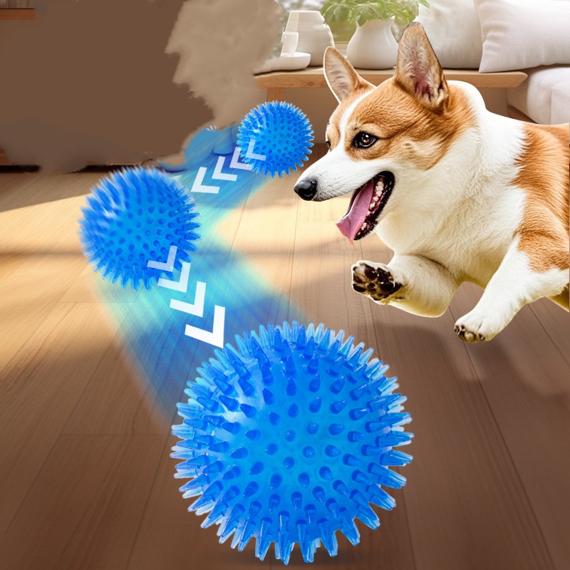 Haustier-Spielzeugball für Kat – Interactive Squeaky Plush Dog Toy Bewertung und Preis