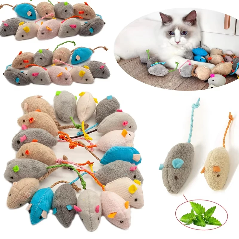 5 Stück Katzenspielzeug mit Ra – Catnip Interactive Plush Mouse Bewertung und Preis