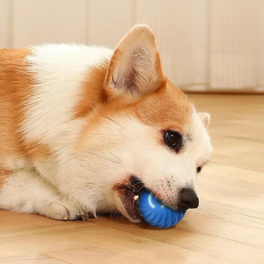 Neue 1pc Automatische Moving H – Automatic Moving Dog Ball Bewertung und Preis