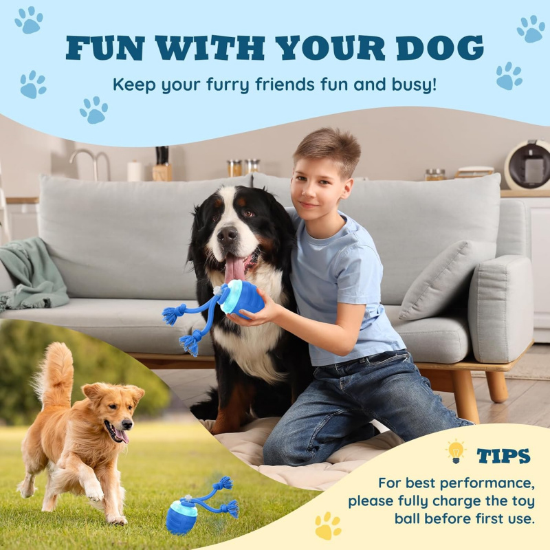2026 Verbessertes Automatische – Automatic Moving Dog Ball Bewertung und Preis