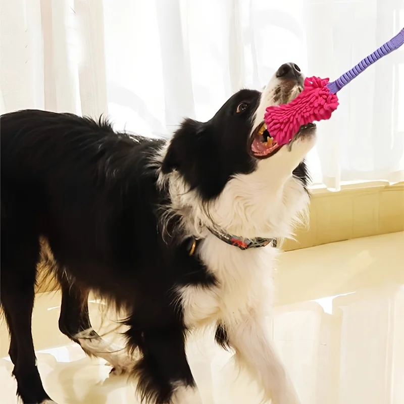 Langlebiges Hundespielzeug für – Dog Rope Toy Aggressive Chewers Bewertung und Preis