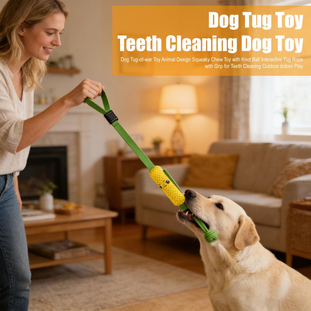 Hai-Seilzugspielzeug mit Saugn – Suction Cup Dog Tug Toy Bewertung und Preis