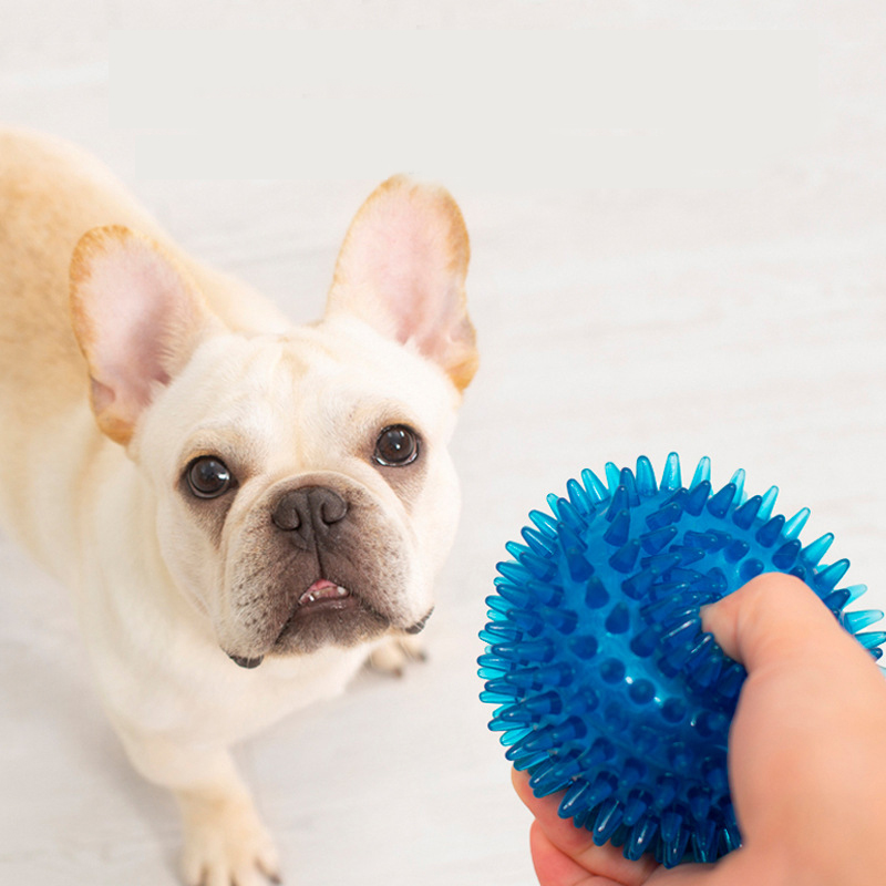 Hohe Elastizität, französische – Interactive Squeaky Plush Dog Toy Bewertung und Preis