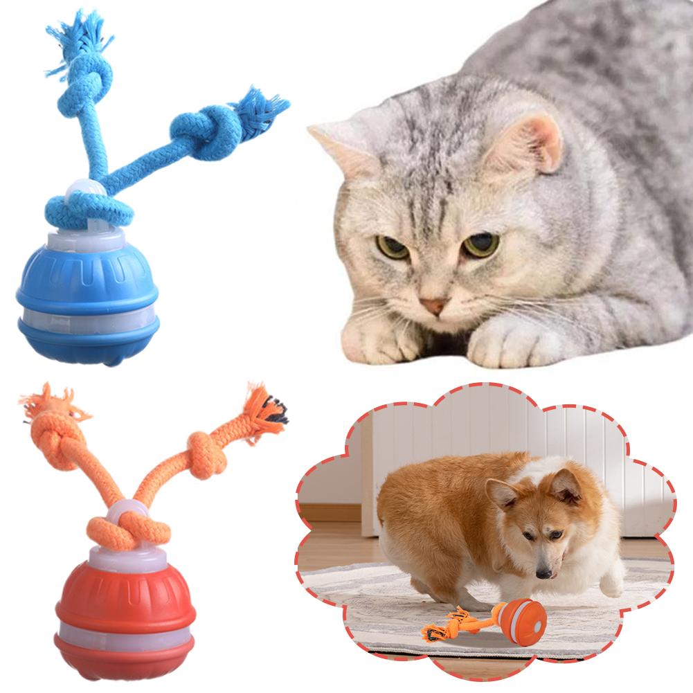 Intelligenter wiederaufladbare – Automatic Moving Dog Ball Bewertung und Preis