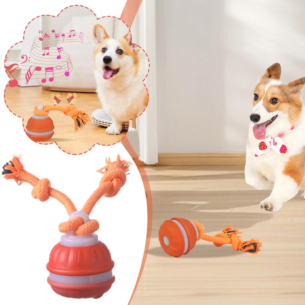 Intelligenter wiederaufladbare – Automatic Moving Dog Ball Bewertung und Preis