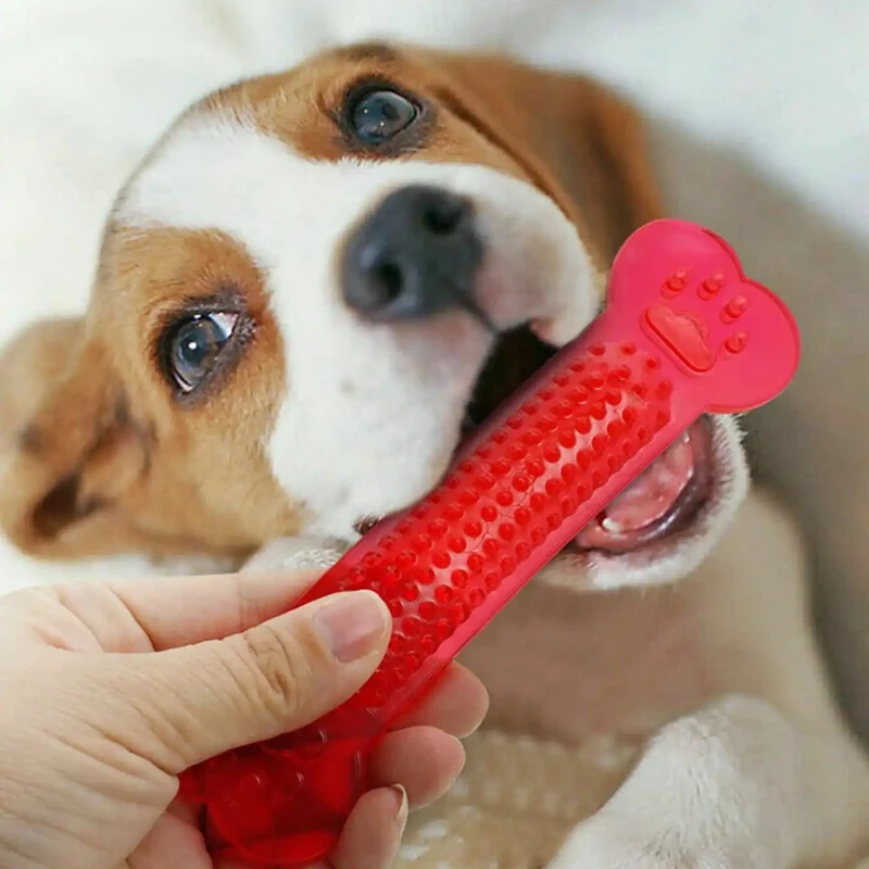 Super robustes Kauspielzeug fü – Teeth Cleaning Dog Chew Bone Bewertung und Preis