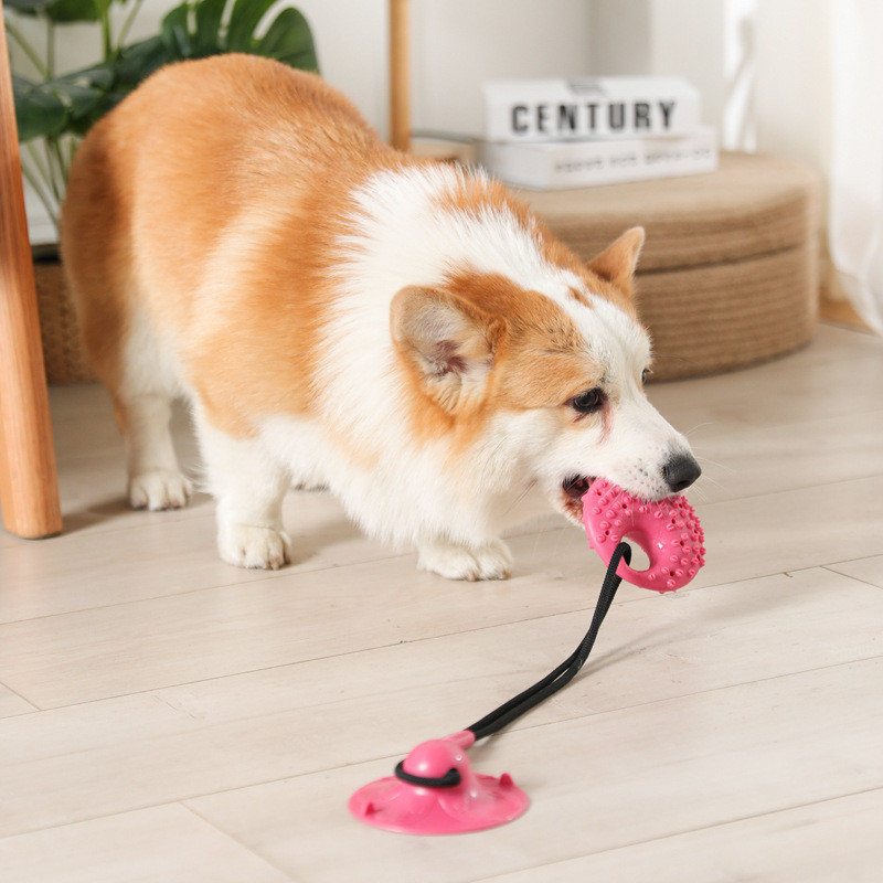 Hundespielzeug, Silikon-Saugna – Suction Cup Dog Tug Toy Bewertung und Preis
