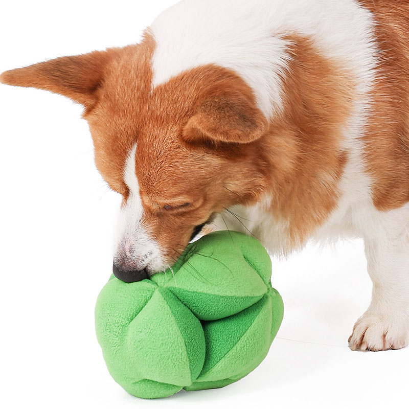 Snuffle Broccoli Hundespielzeu – Dog Puzzle Feeder Toy Bewertung und Preis