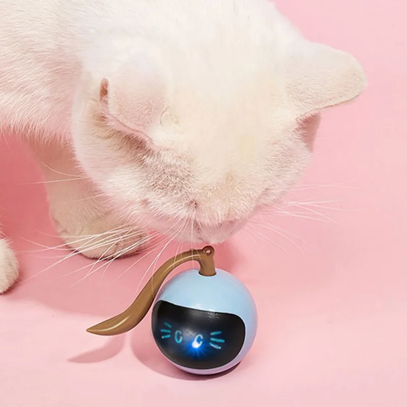 Interaktives Katzenball-Spielz – Automatic Moving Dog Ball Bewertung und Preis