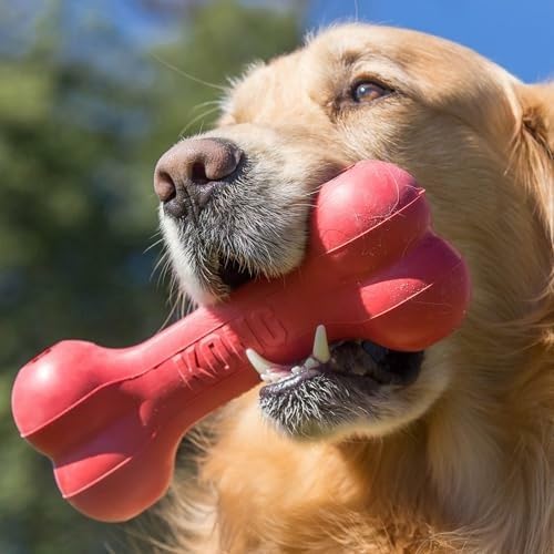 Klassischer Langlebiger Naturk – Rubber Treat Dispensing Dog Toy Bewertung und Preis