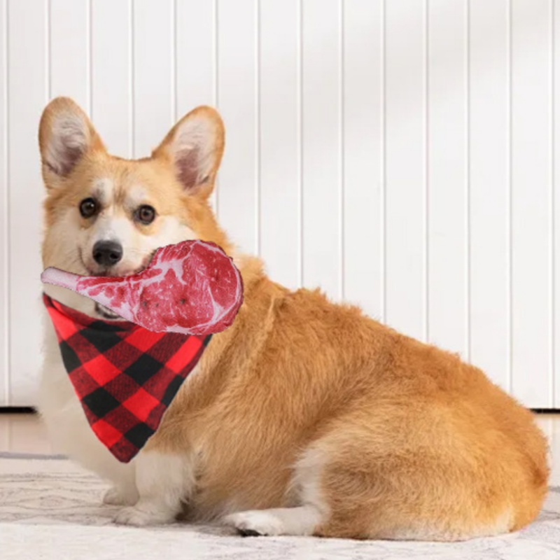 Simuliertes Steak-Quietschspie – Teeth Cleaning Dog Chew Bone Bewertung und Preis