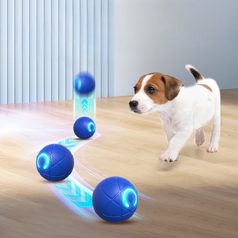 Intelligenter Hundespielzeugba – Automatic Moving Dog Ball Bewertung und Preis