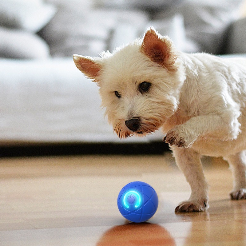 Intelligenter Hundespielzeugba – Automatic Moving Dog Ball Bewertung und Preis