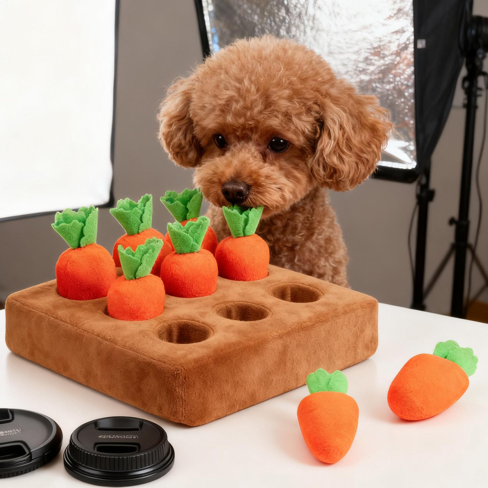Schnüffelmatte für Welpen, Lus – Snuffle Mat For Dogs Bewertung und Preis