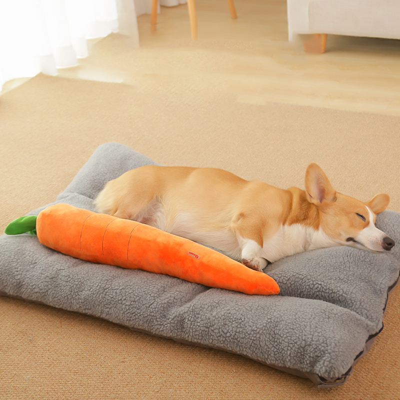 HOOPET Hundespielzeug, Haustie – Indestructible Dog Chew Toy Bewertung und Preis