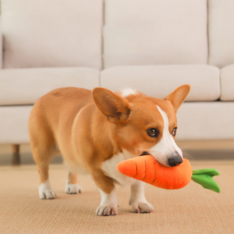 HOOPET Hundespielzeug, Haustie – Indestructible Dog Chew Toy Bewertung und Preis