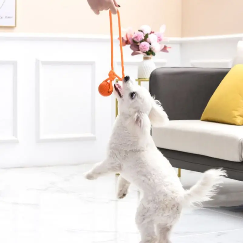 Hunde training Ball auf Seil B – Suction Cup Dog Tug Toy Bewertung und Preis