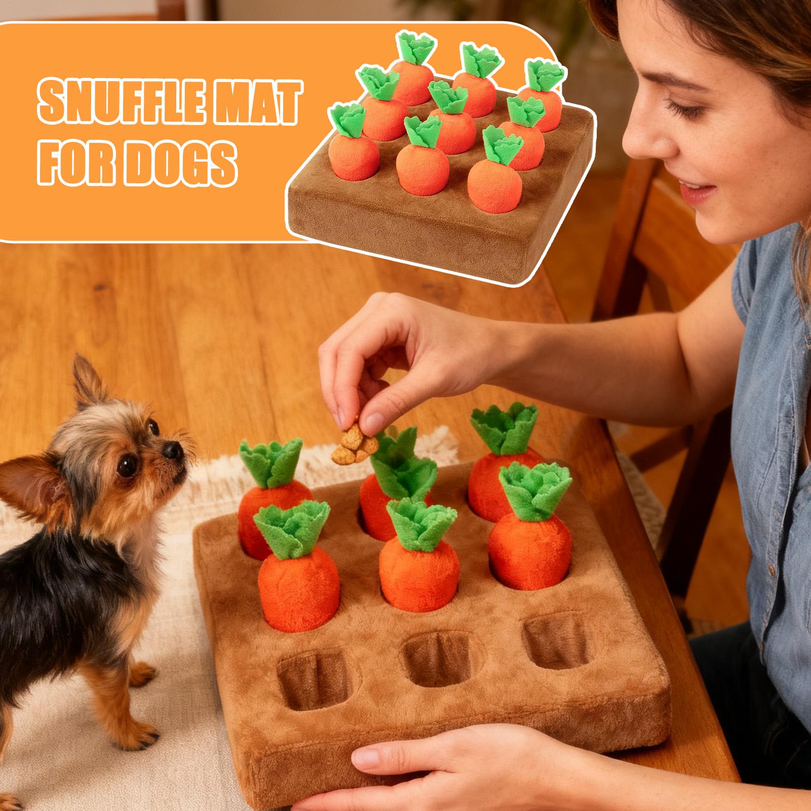 Interaktives Karotten-Spielzeu – Snuffle Mat For Dogs Bewertung und Preis