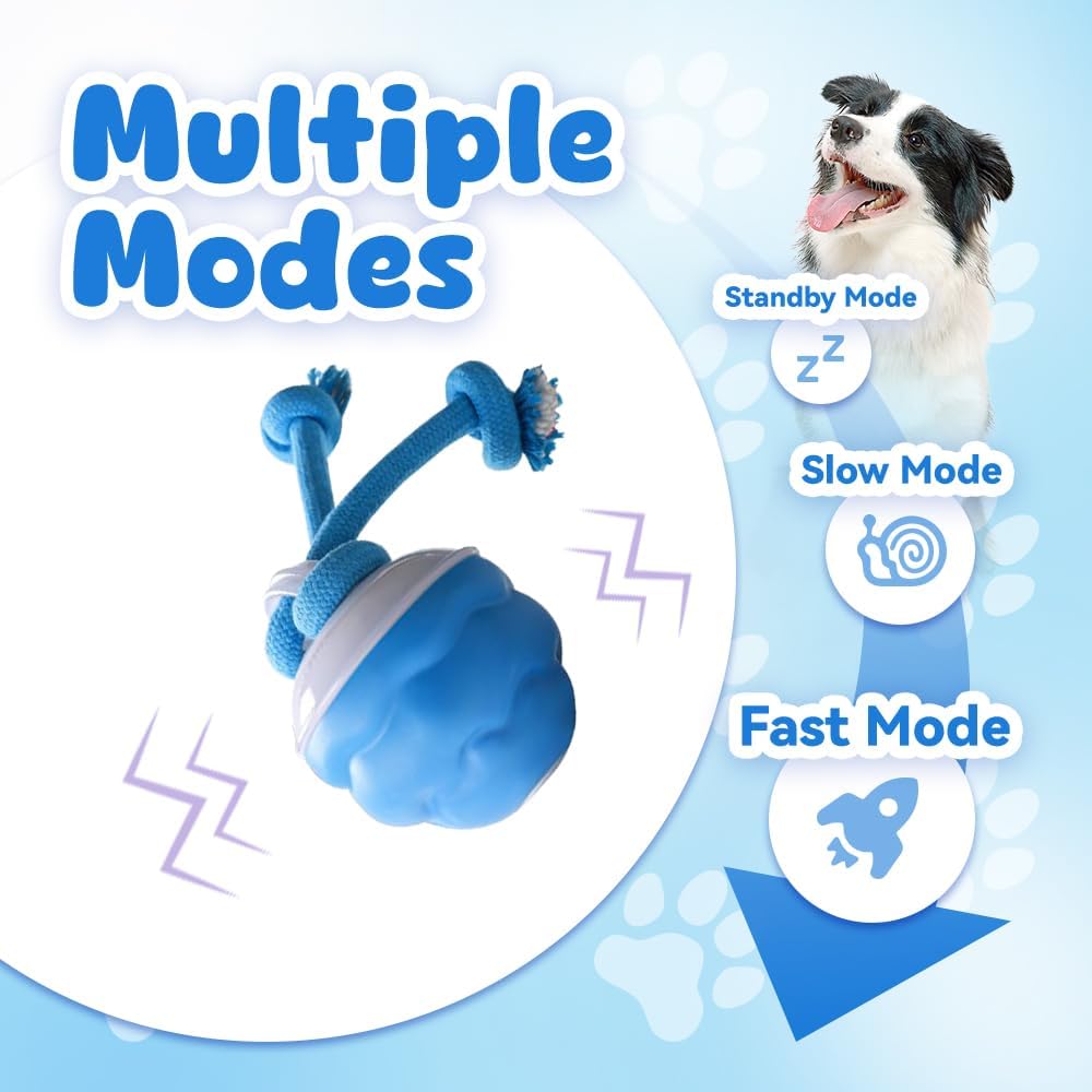 Intelligentes Hundespielzeug,  – Automatic Moving Dog Ball Bewertung und Preis