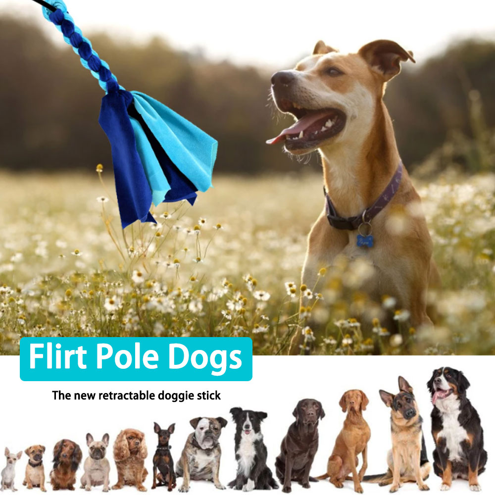 Einziehbare Hundes tock intera – Interactive Squeaky Plush Dog Toy Bewertung und Preis