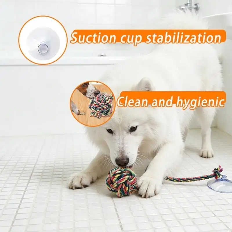 Lustiges, sicheres Hunde-Kausp – Suction Cup Dog Tug Toy Bewertung und Preis