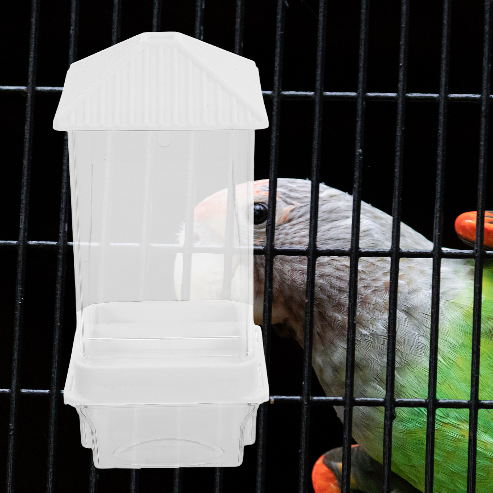 Automatischer Vogelfutterautom – Pet Feeders Bewertung und Preis
