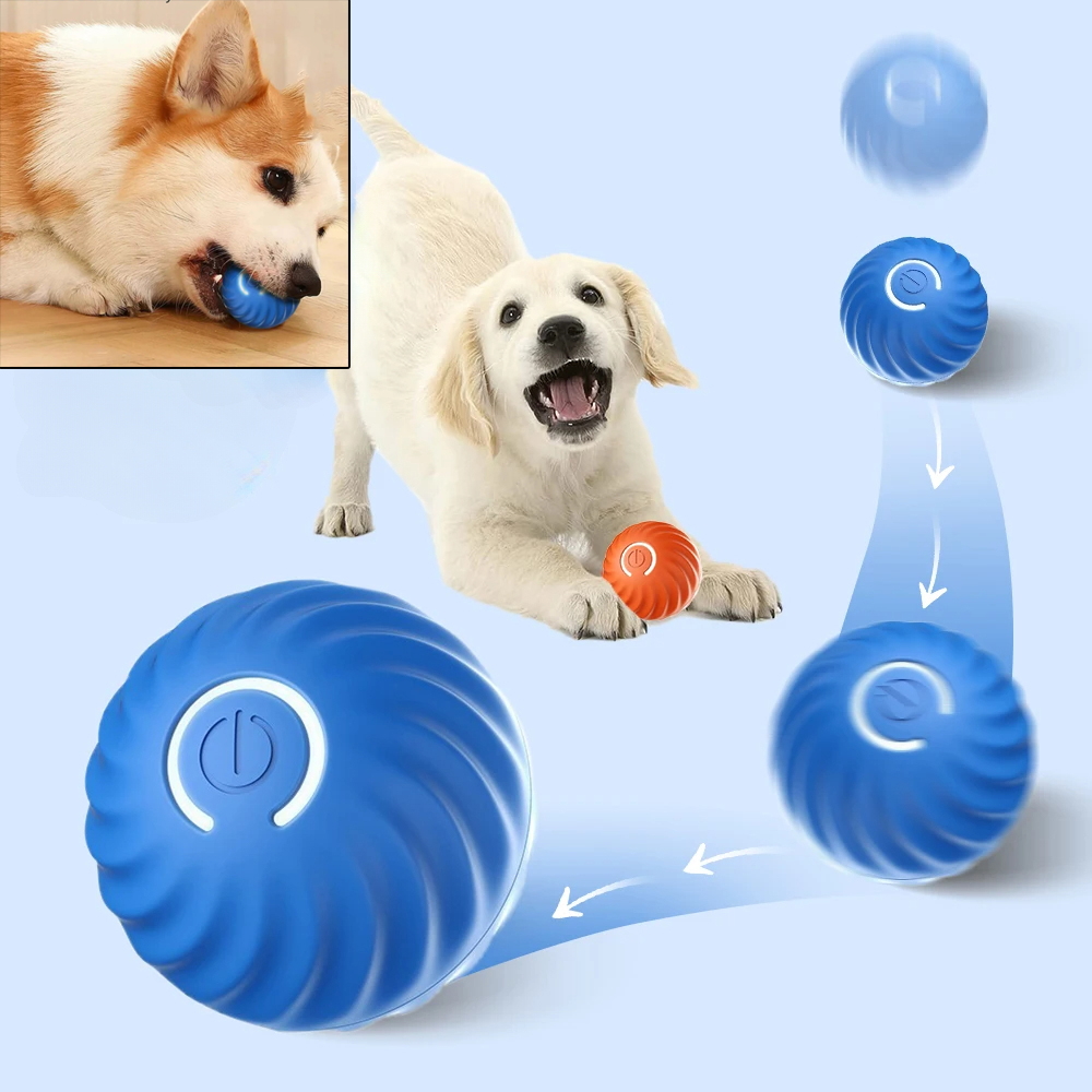 Automatischer, beweglicher Hun – Automatic Moving Dog Ball Bewertung und Preis