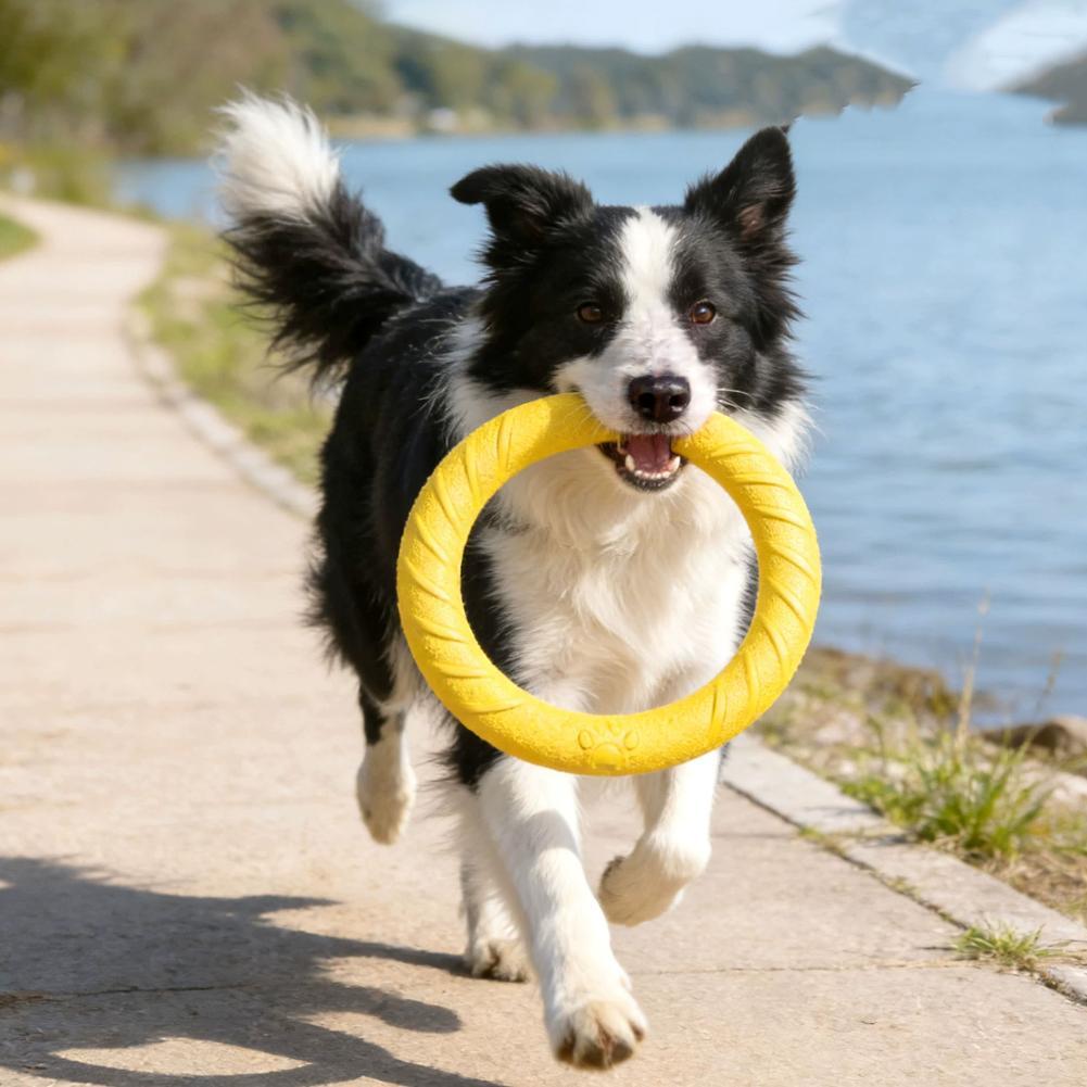 Hunde-Ringspielzeug, unzerstör – Indestructible Dog Chew Toy Bewertung und Preis