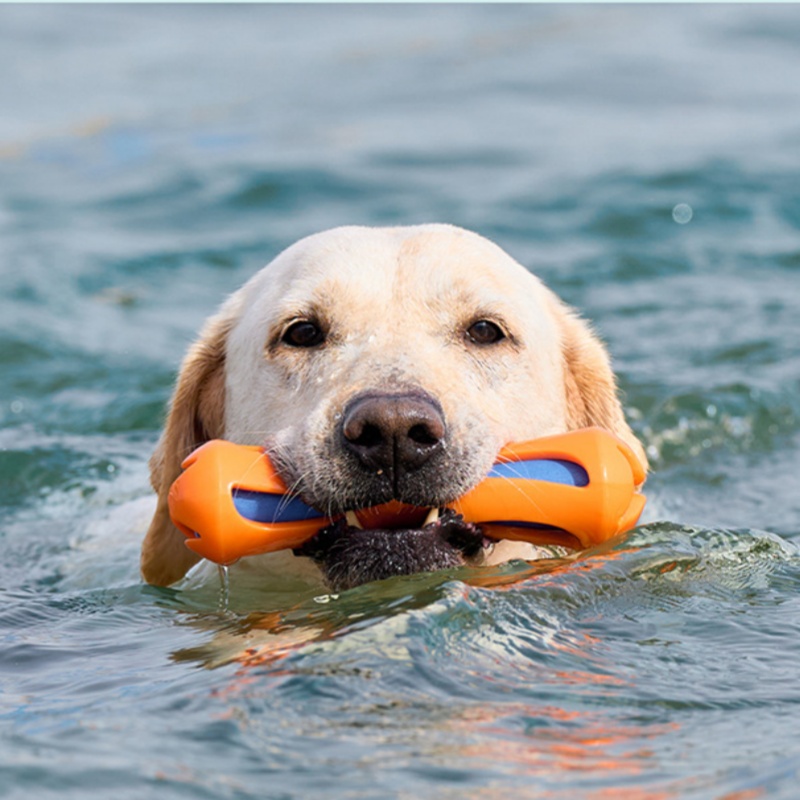 2026 Heiß begehrter schwimmend – Indestructible Dog Chew Toy Bewertung und Preis
