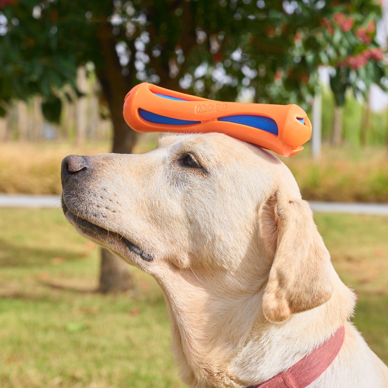 2026 Heiß begehrter schwimmend – Indestructible Dog Chew Toy Bewertung und Preis