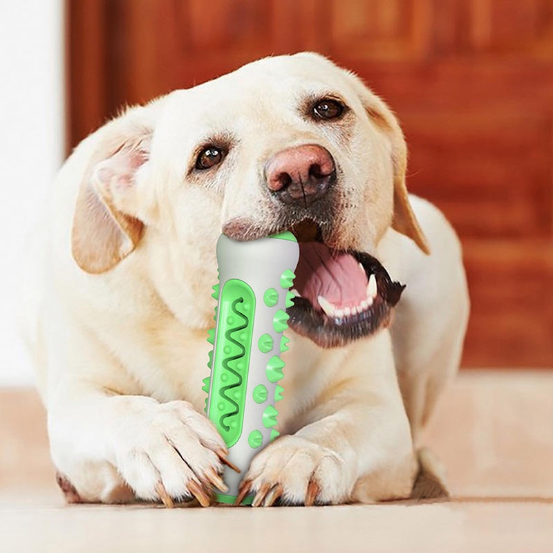 TPR-Hundekauknochen, langlebig – Teeth Cleaning Dog Chew Bone Bewertung und Preis