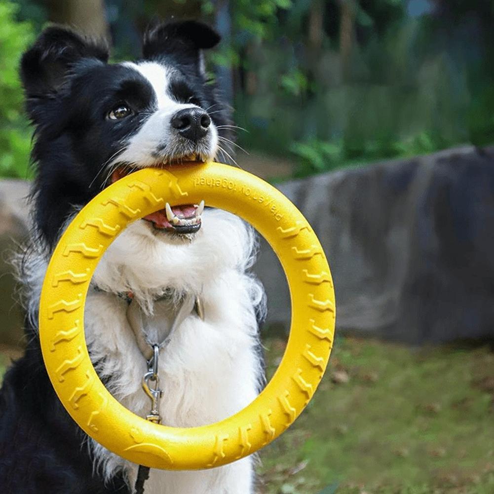 Hundespielzeugringe, unzerstör – Indestructible Dog Chew Toy Bewertung und Preis